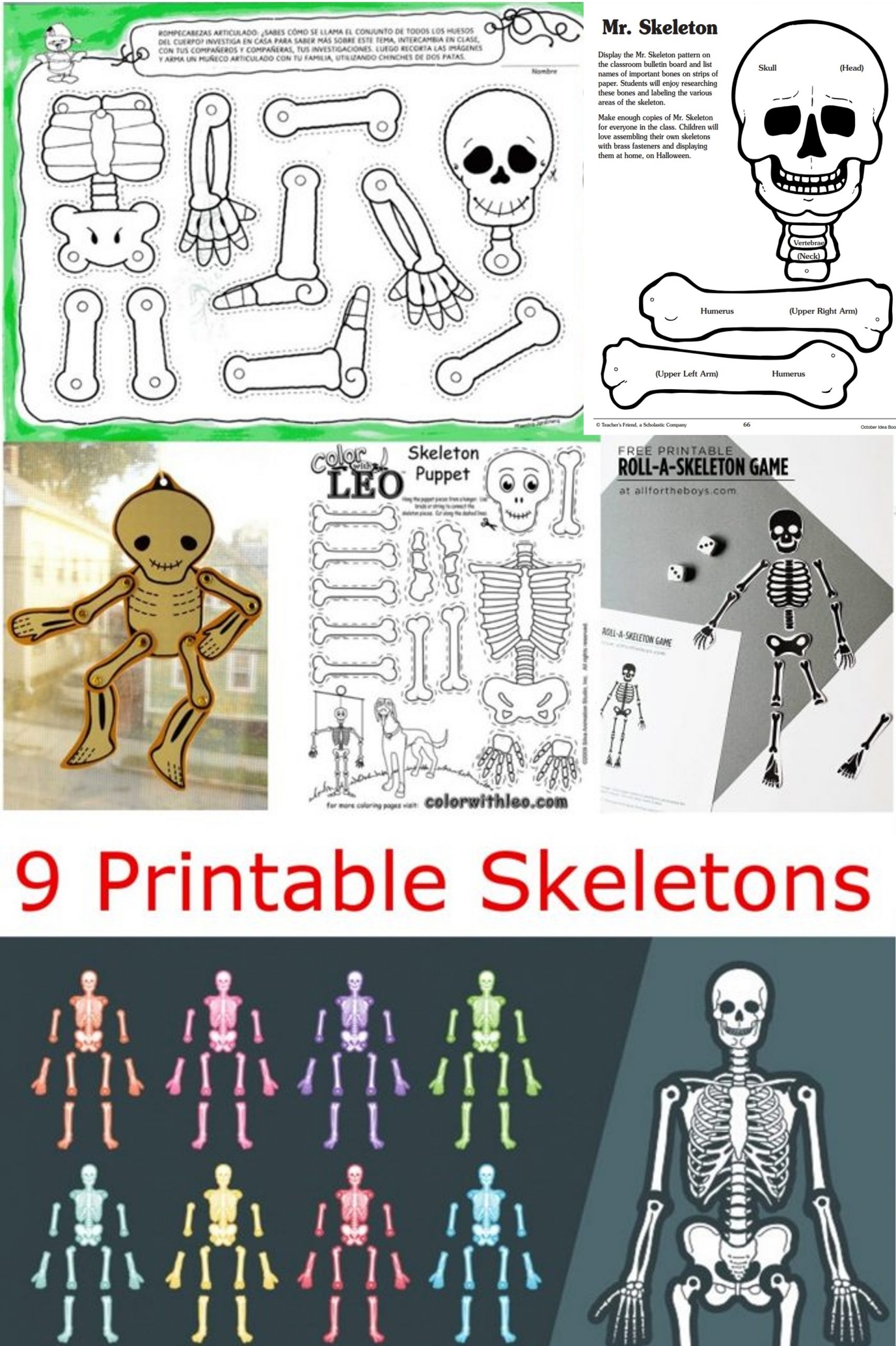 printable skeleton craft template