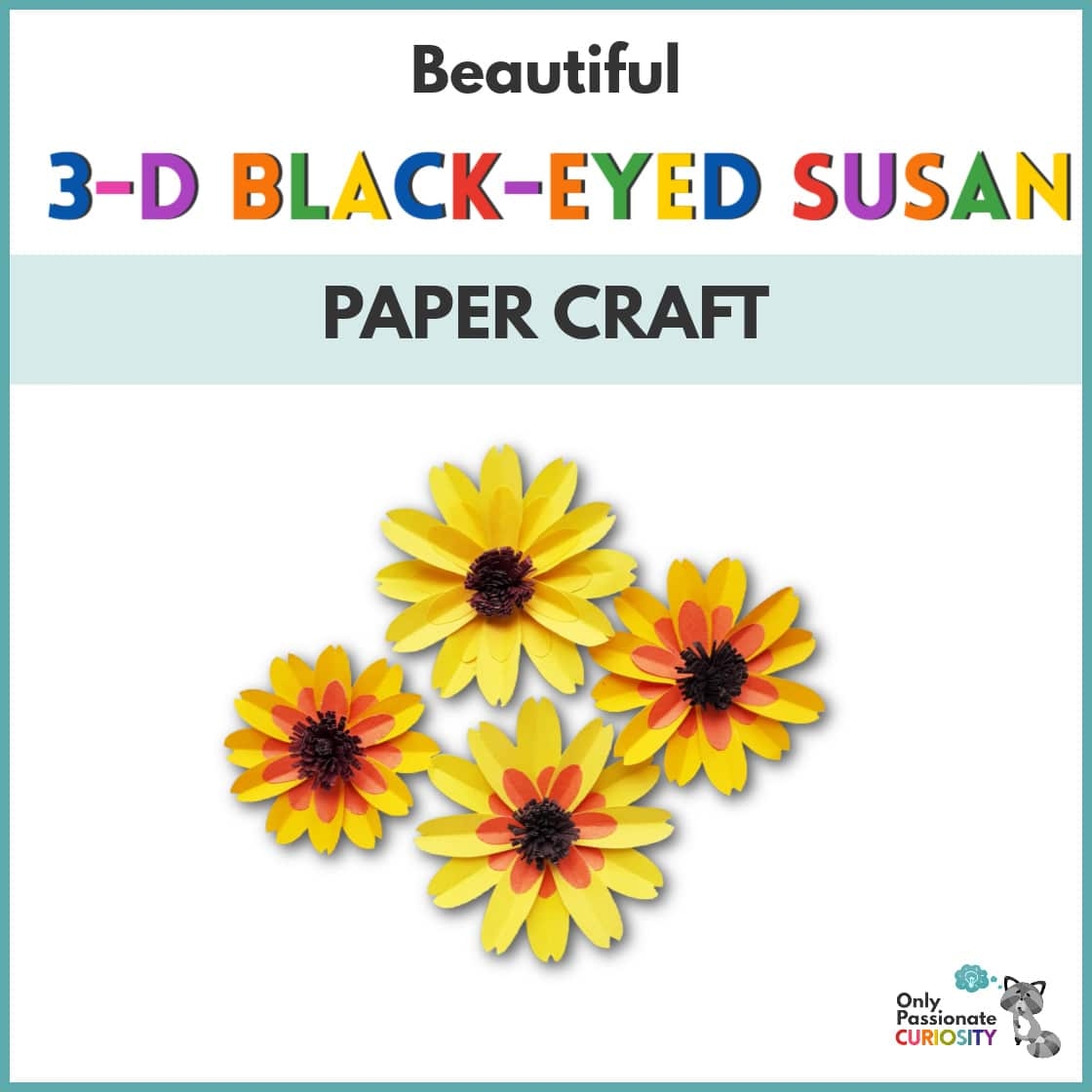 Black Eyed Susan Craft