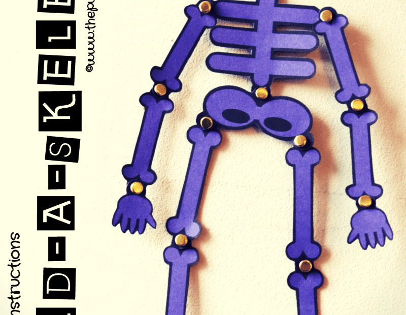 Build A Skeleton Free Printable Instructions