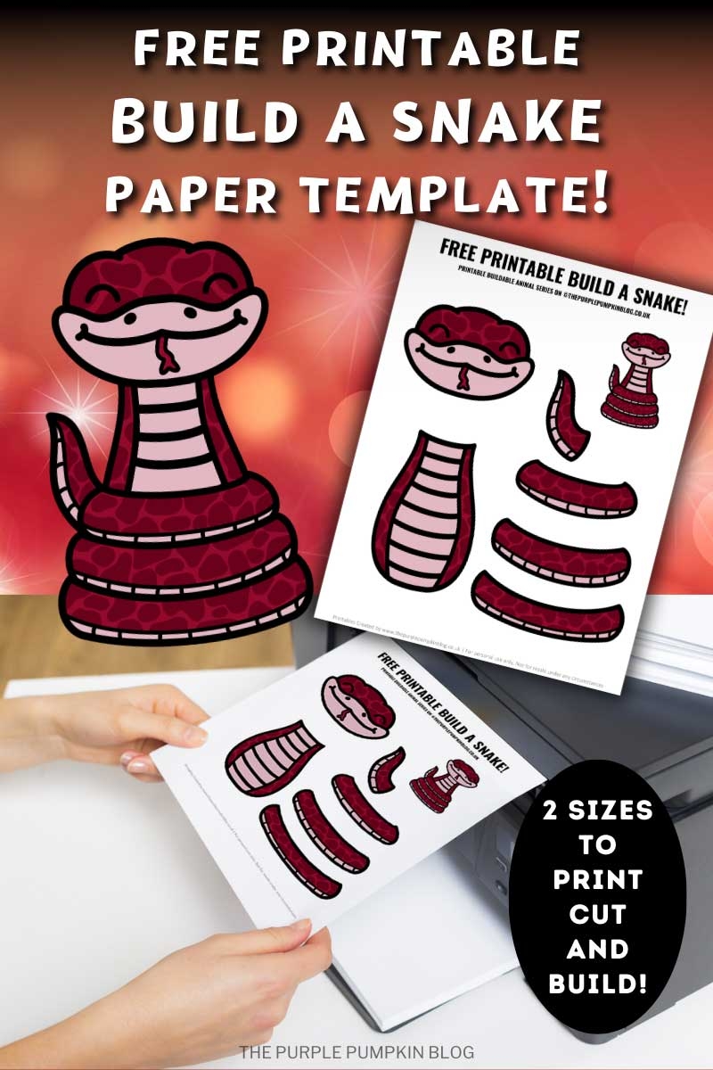 Free Printable Build A Snake Craft Template For Chinese New Year