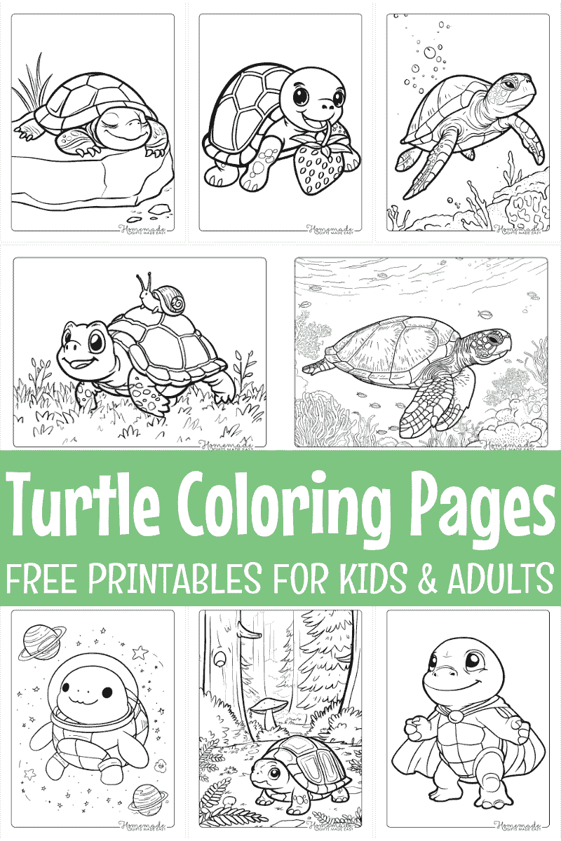 printable sea turtle craft template