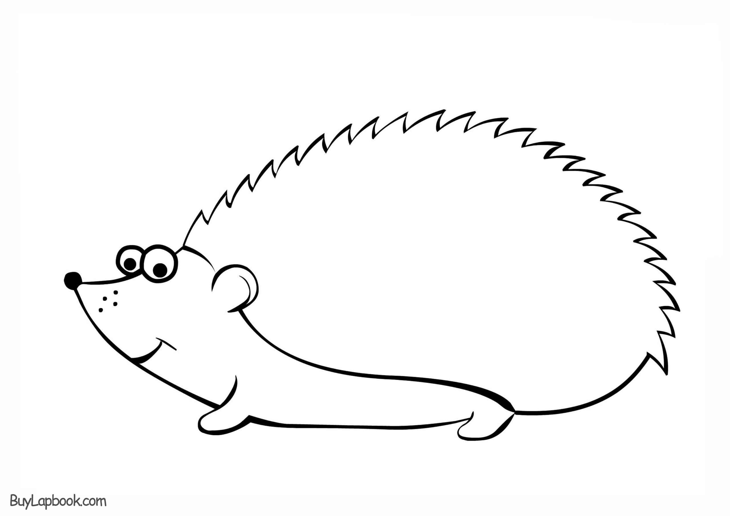 Hedgehogs Free Printable Coloring And Activity Page For Kids 