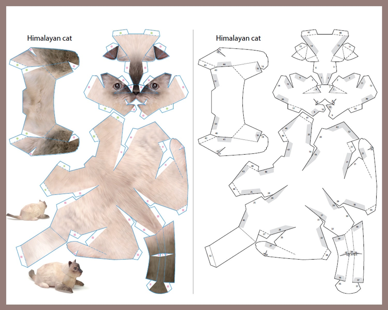 HIMALAYAN CAT 3D Papercraft 3D Origami Cat Paper Craft Cat 3D PDF Template Papercraft Animals Paper Cat 3D Art Diy Paper Statue
