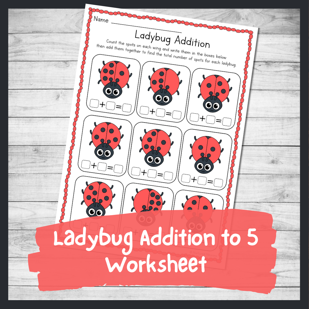 Ladybug Addition Up To 5 Worksheet Preschool And Kindergarten 