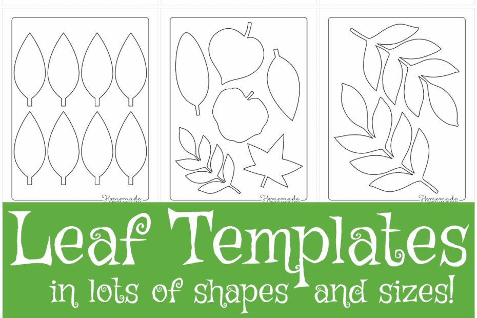Leaf Template Free Printable Leaf Outlines For Kids