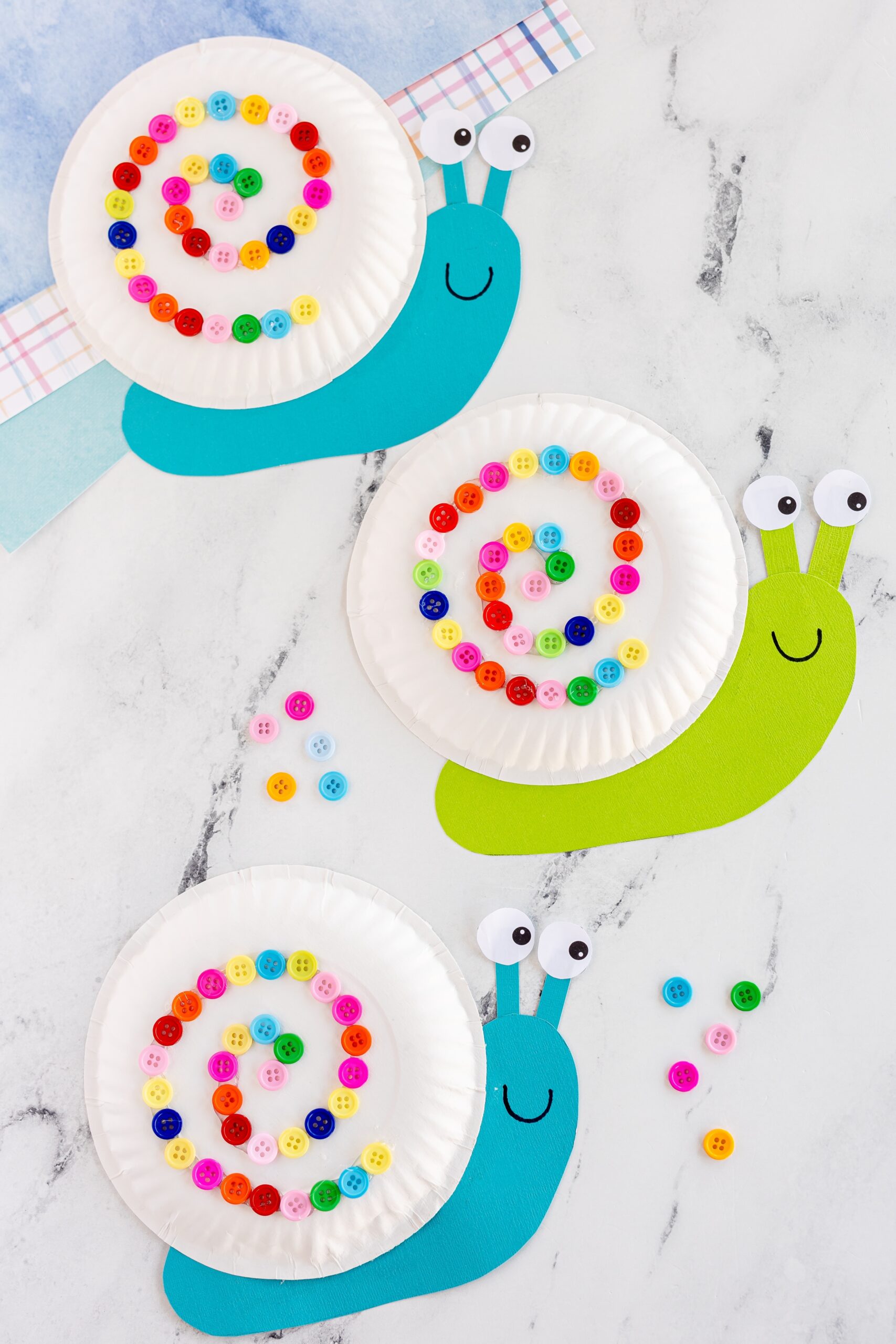 Paper Plate Snail mp4