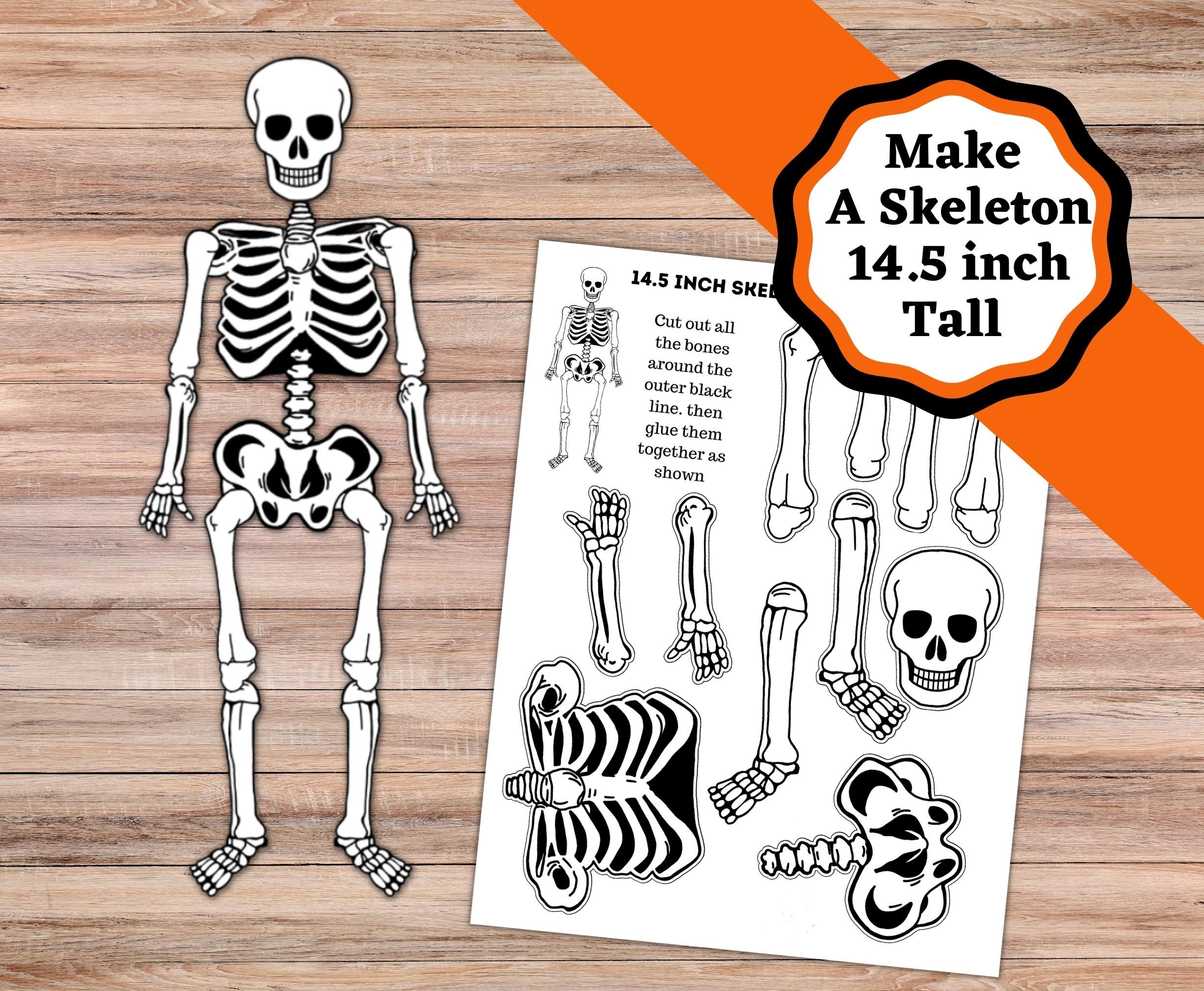 Printable Skeleton Craft 14 5 Inch Skeleton Cut And Glue Craft 