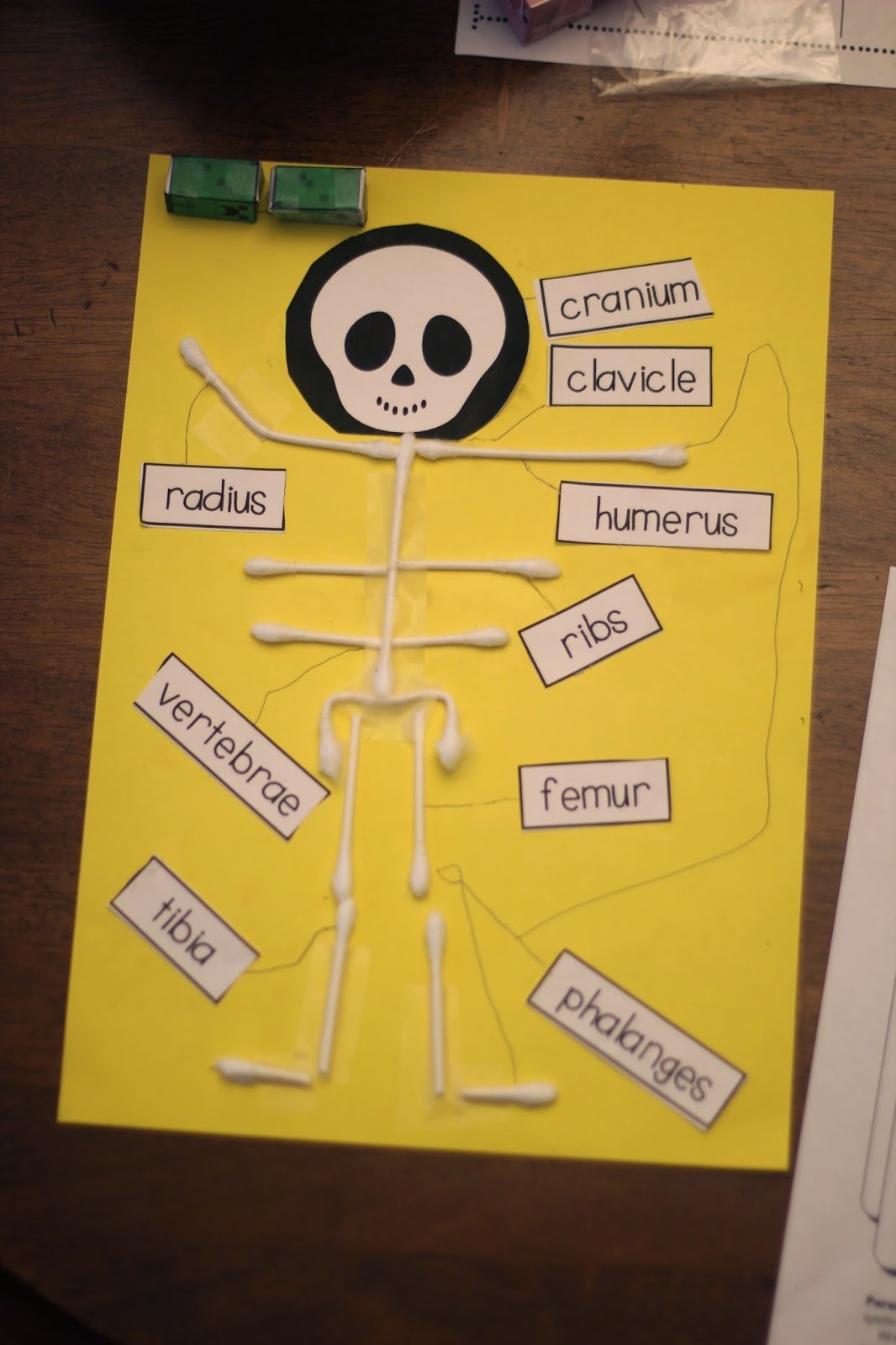Q tip Skeletons Momgineer
