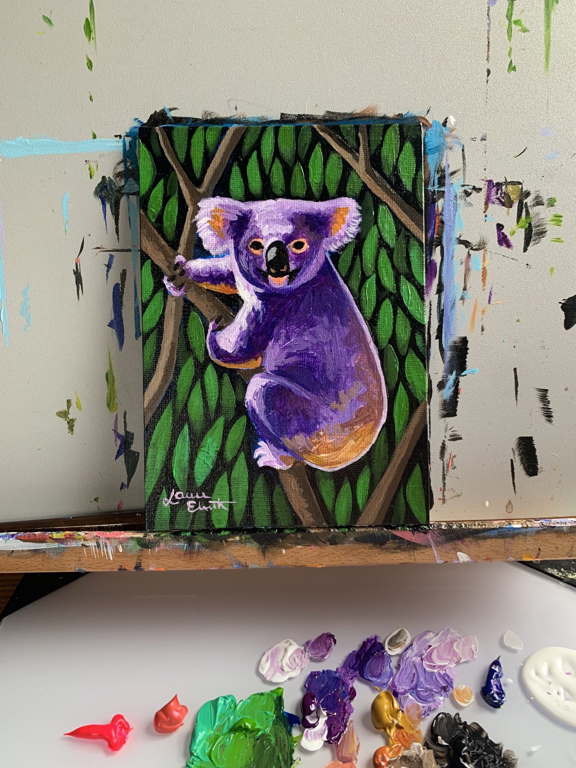 color of koala bears
