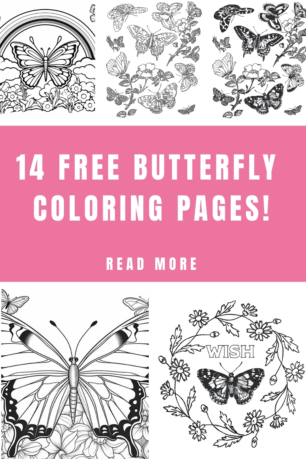 coloring pages butterfly printable