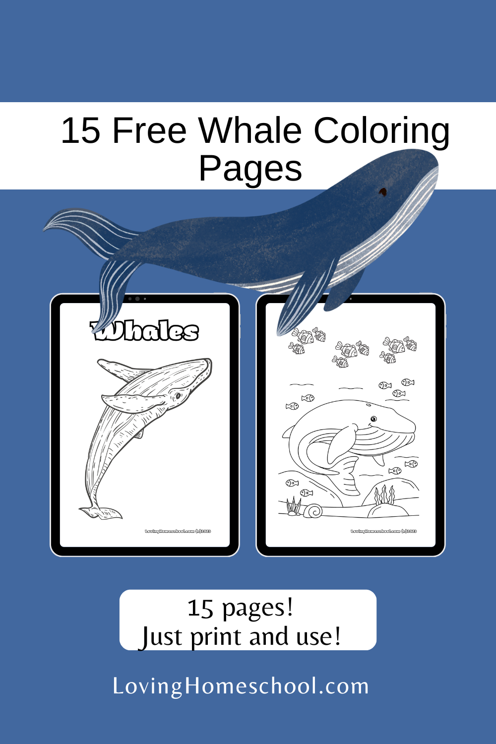 15 Free Whale Coloring Pages LovingHomeschool