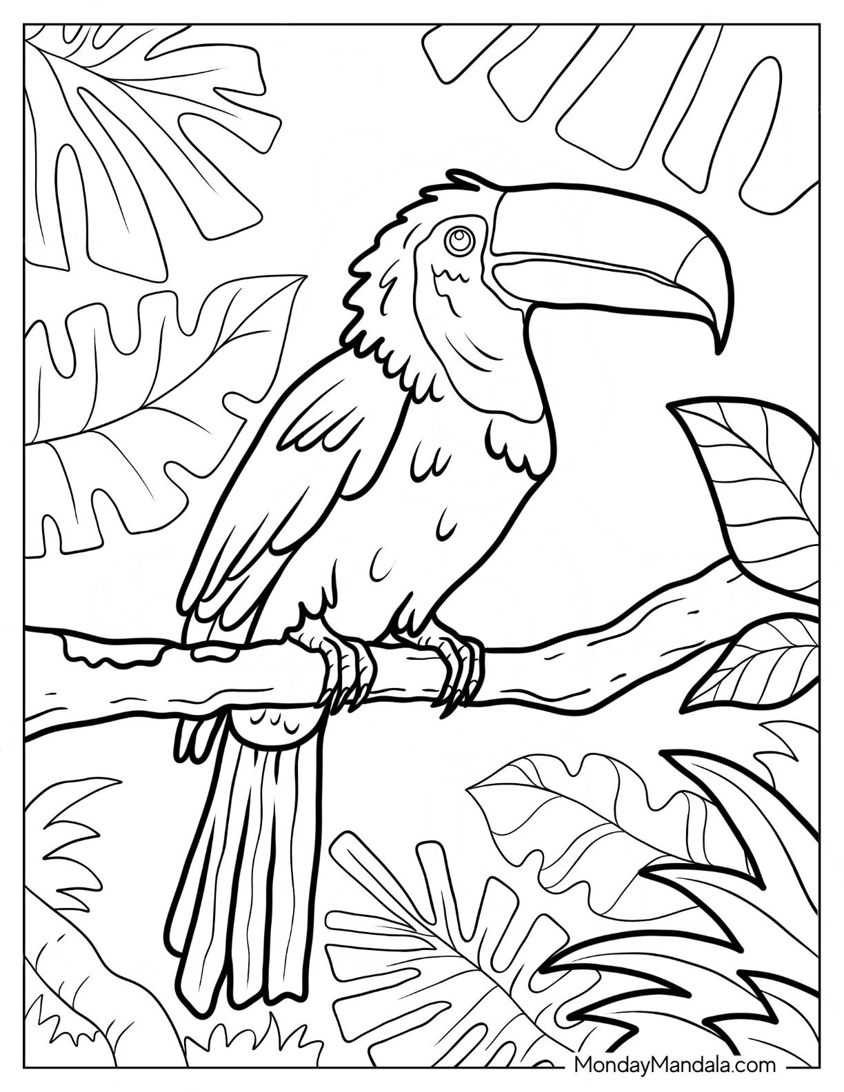 coloring pictures of rainforest animals