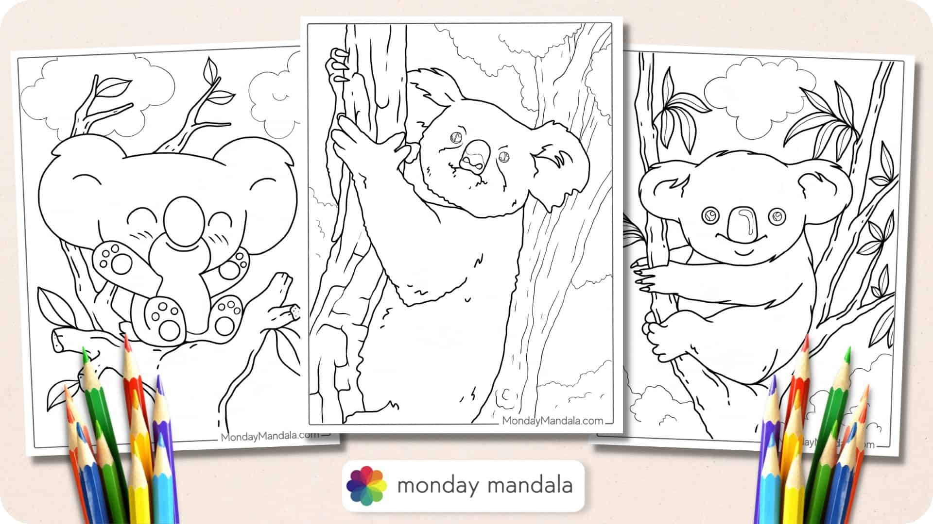 koala bear coloring page