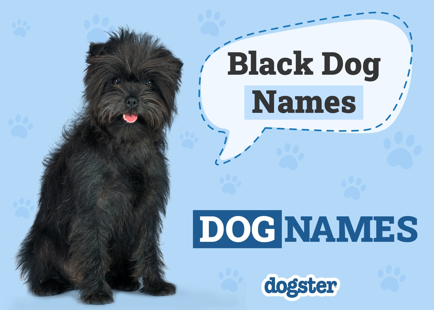 black color dog names