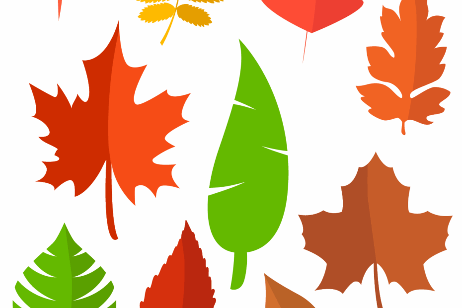 37 Printable Leaf Templates Outlines U0026 Shapes Free World Of Worksheets Library