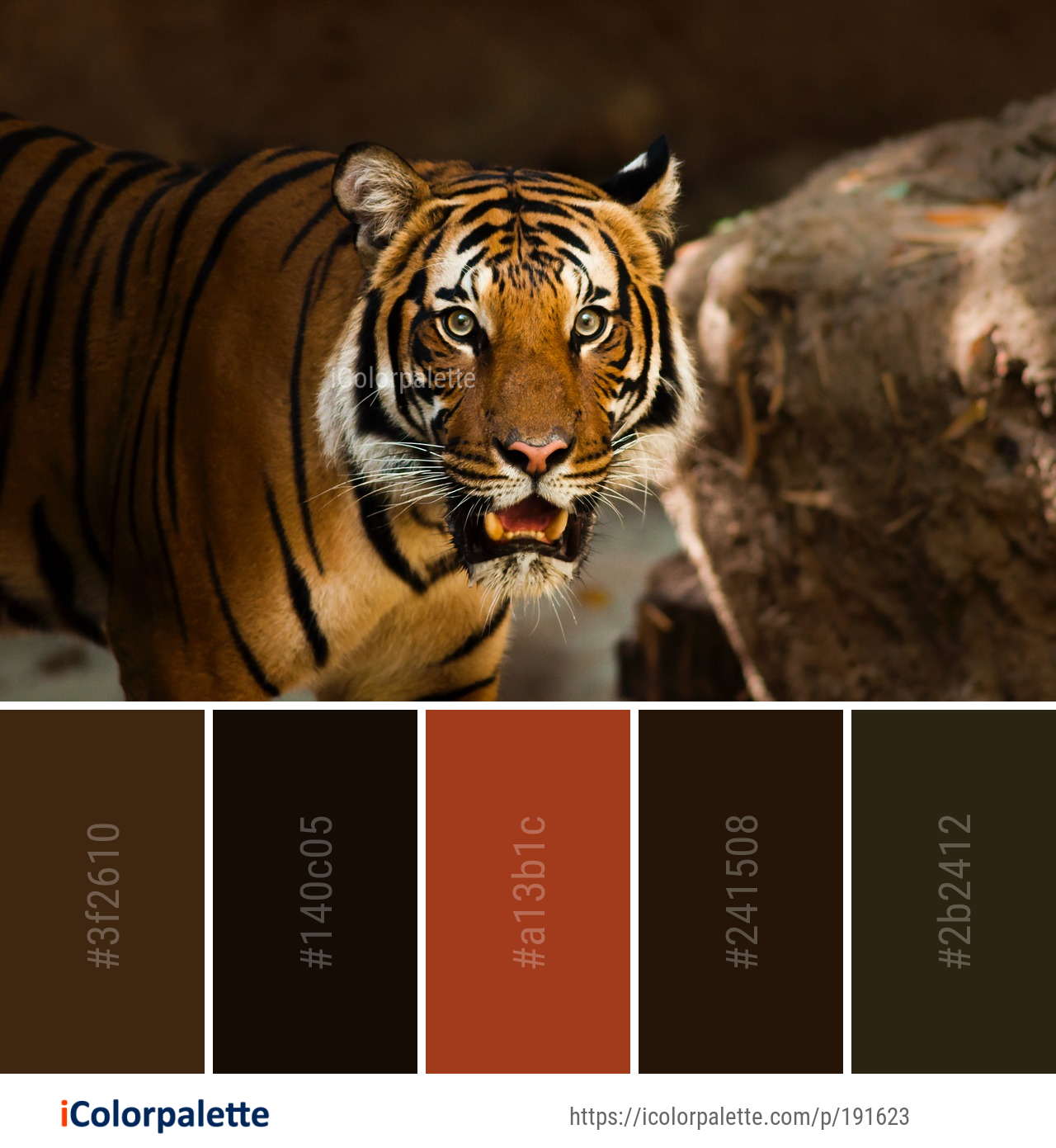 94 Tiger Color Palette Ideas In 2025 IColorpalette