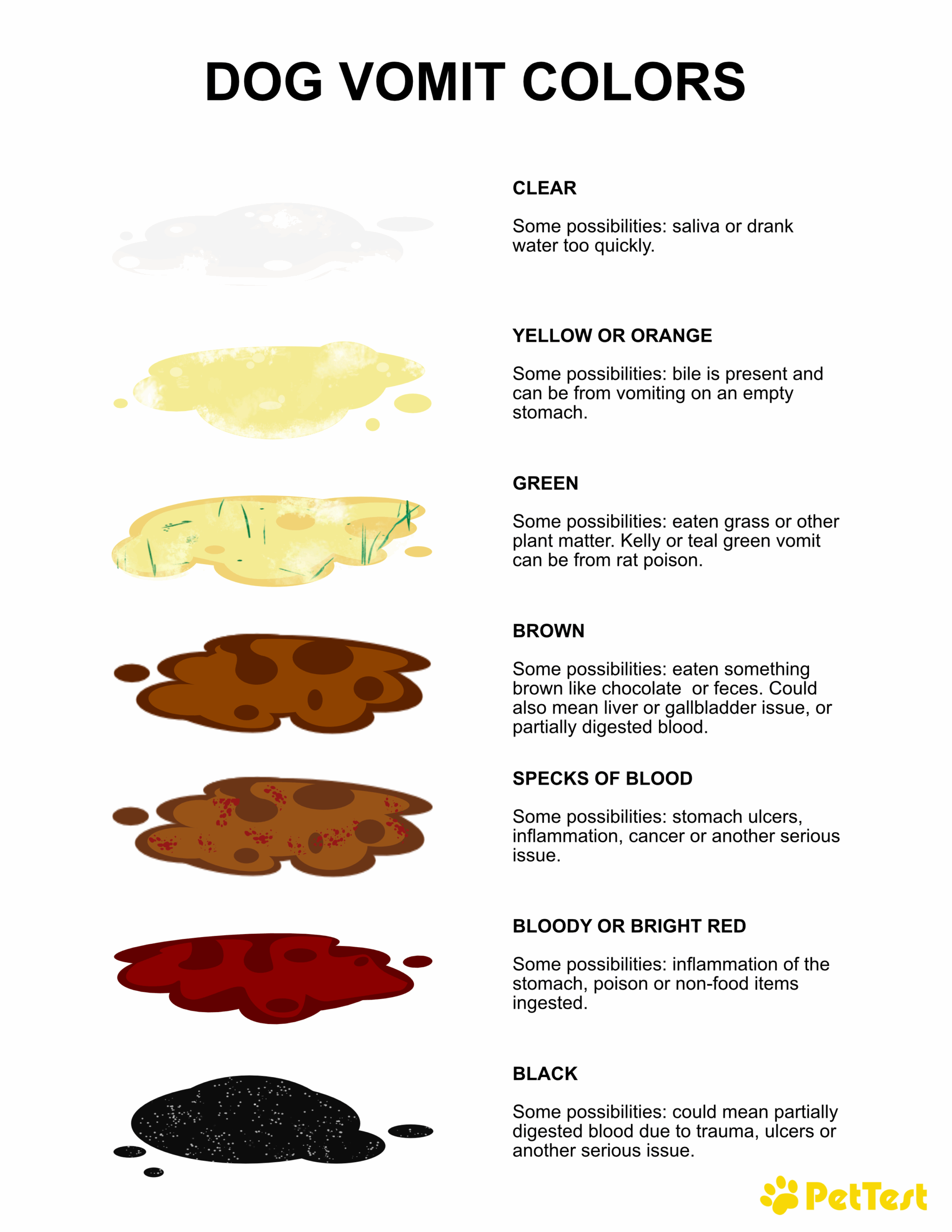 cat vomit color chart
