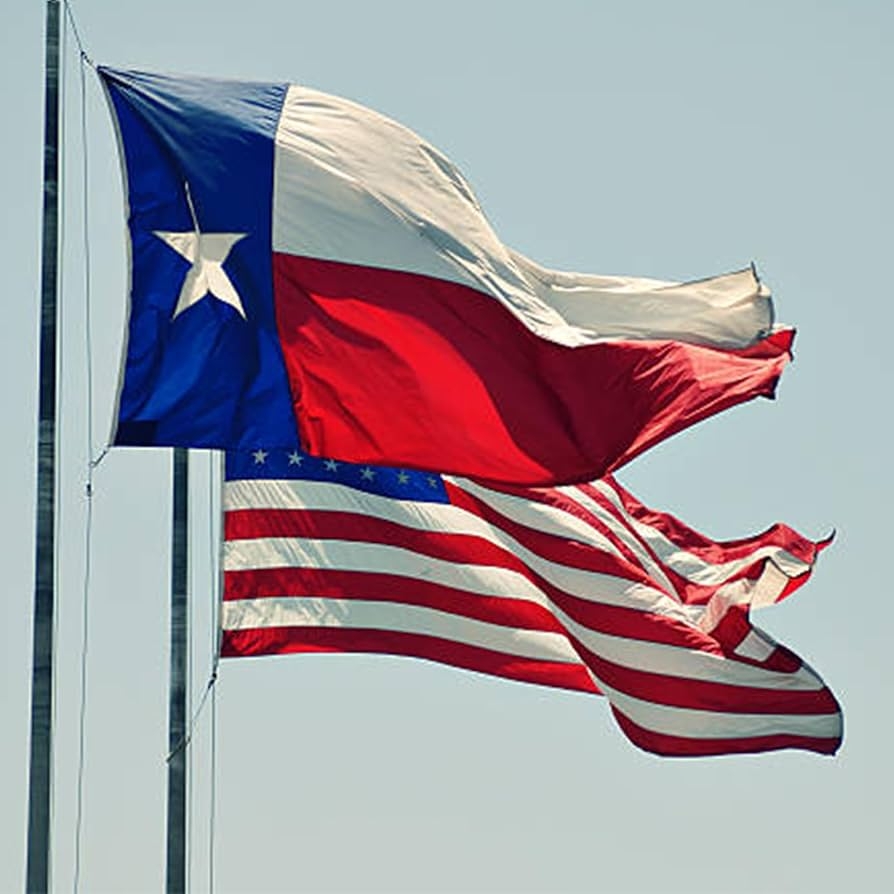 Amazon Embroidered Texas State Flag 4x6 Feet For Outside 
