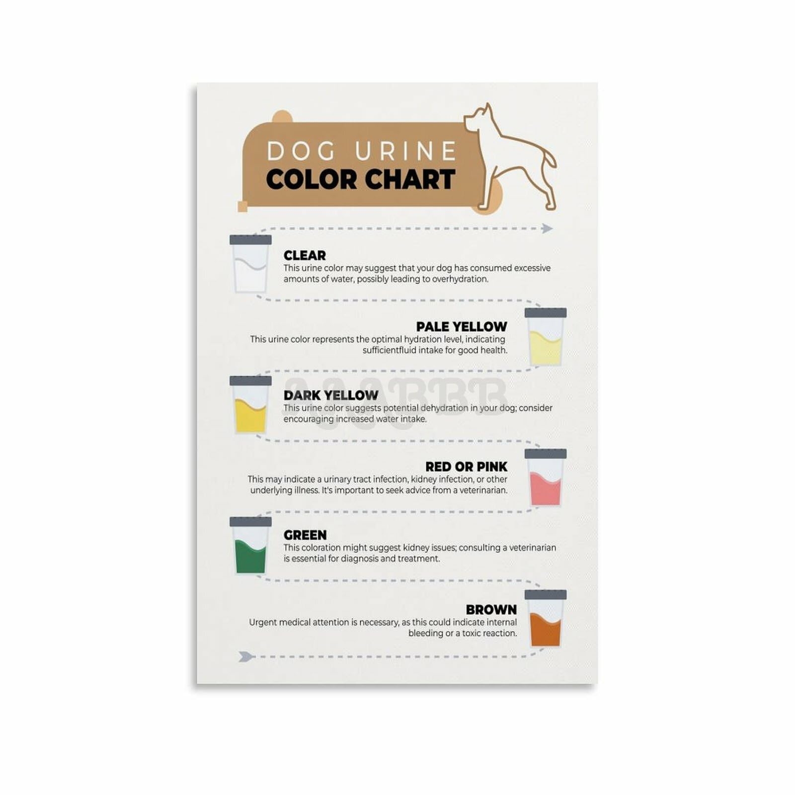 dog urine color chart