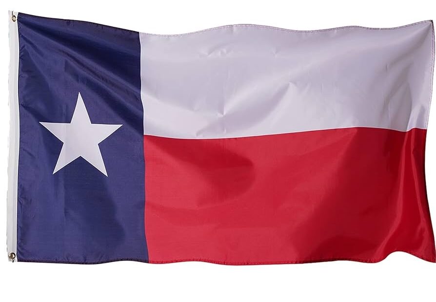 Amazon Texas Flag 3x5 Ft Texas State Flag For Outside Heavy