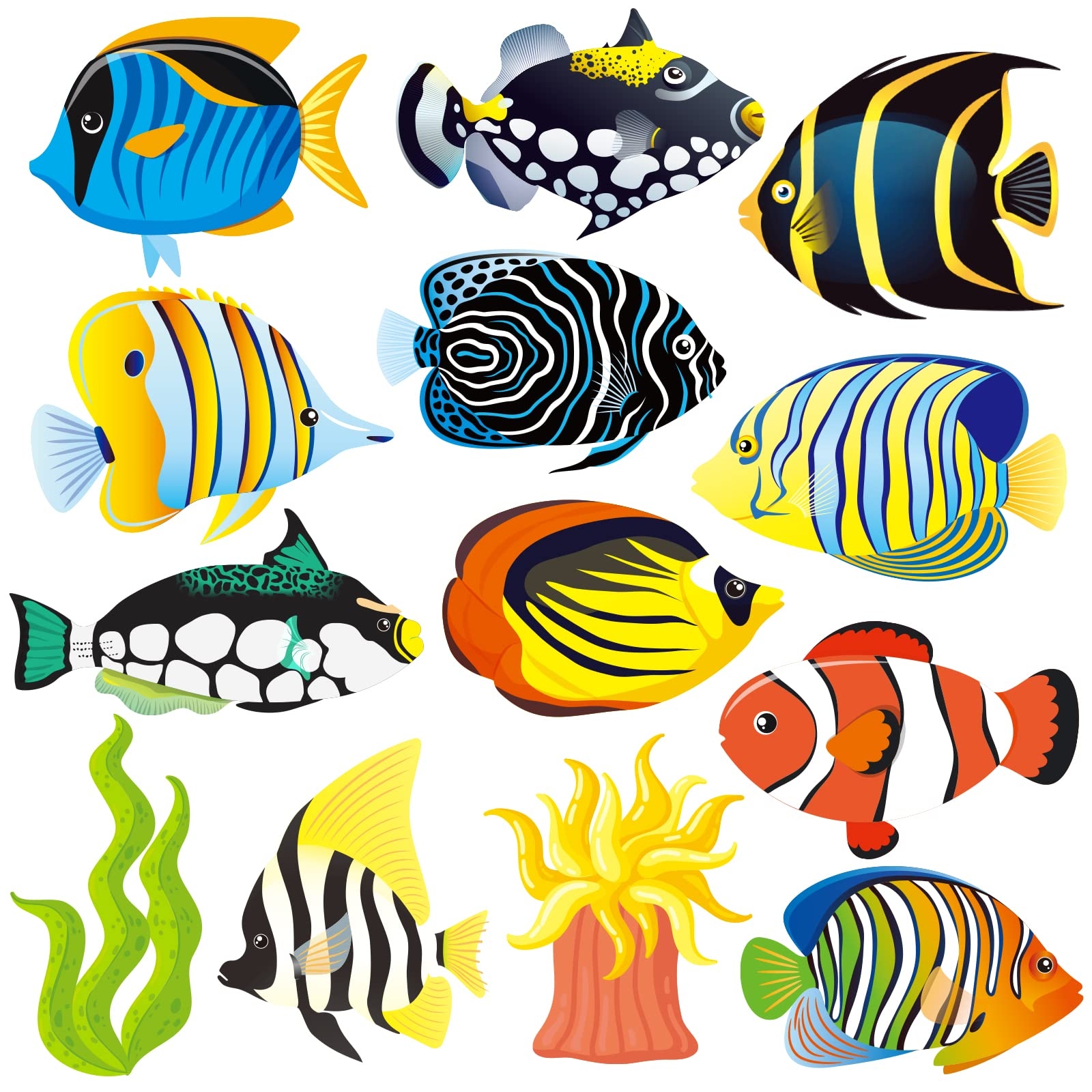 Amazon Tropical Fish Cutouts 46 Pack Paper Colorful School Classroom Supplies Decoration Ocean Sea Animal Cards Accents Tropical Fish Accents Cutouts With Glue Point Dots For Bulletin Board Decor Office Products