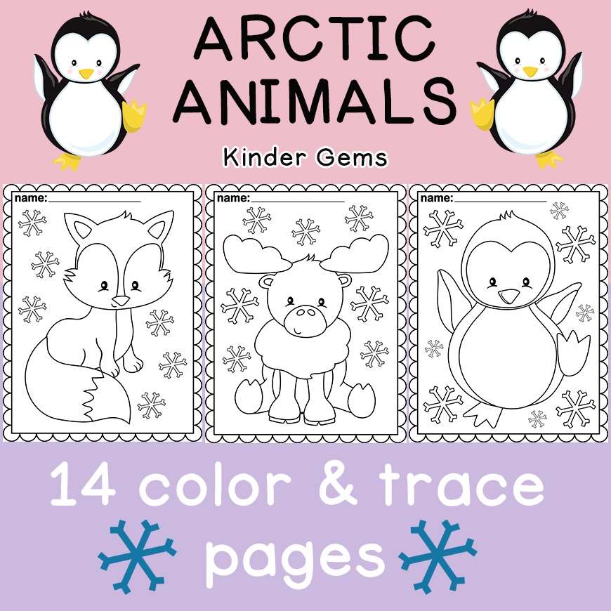 arctic animals coloring pages