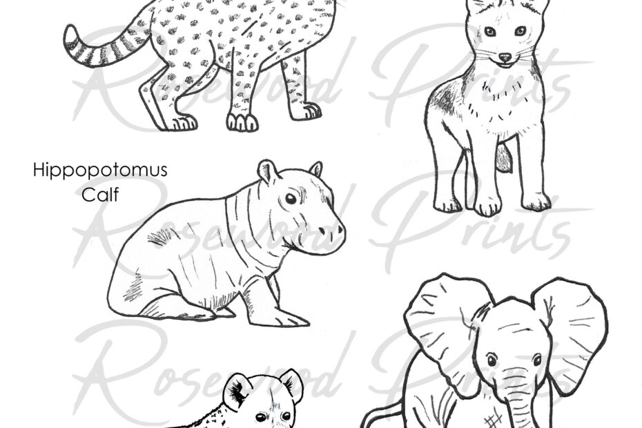 Baby Safari Animals Coloring Pages Etsy UK