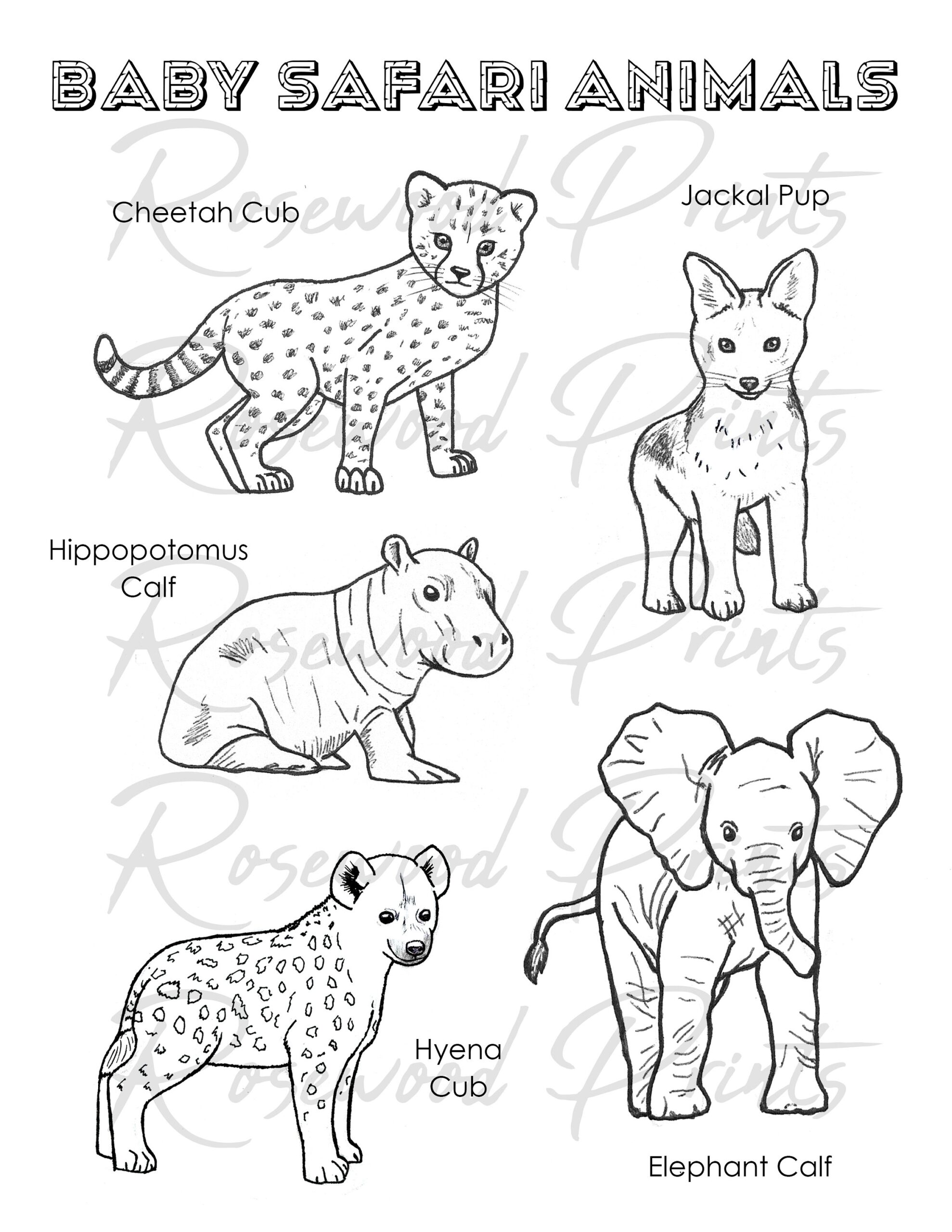 Baby Safari Animals Coloring Pages Etsy UK