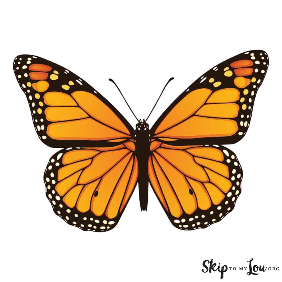 Beautiful Butterfly Coloring Pages To Download And Print Skip To 