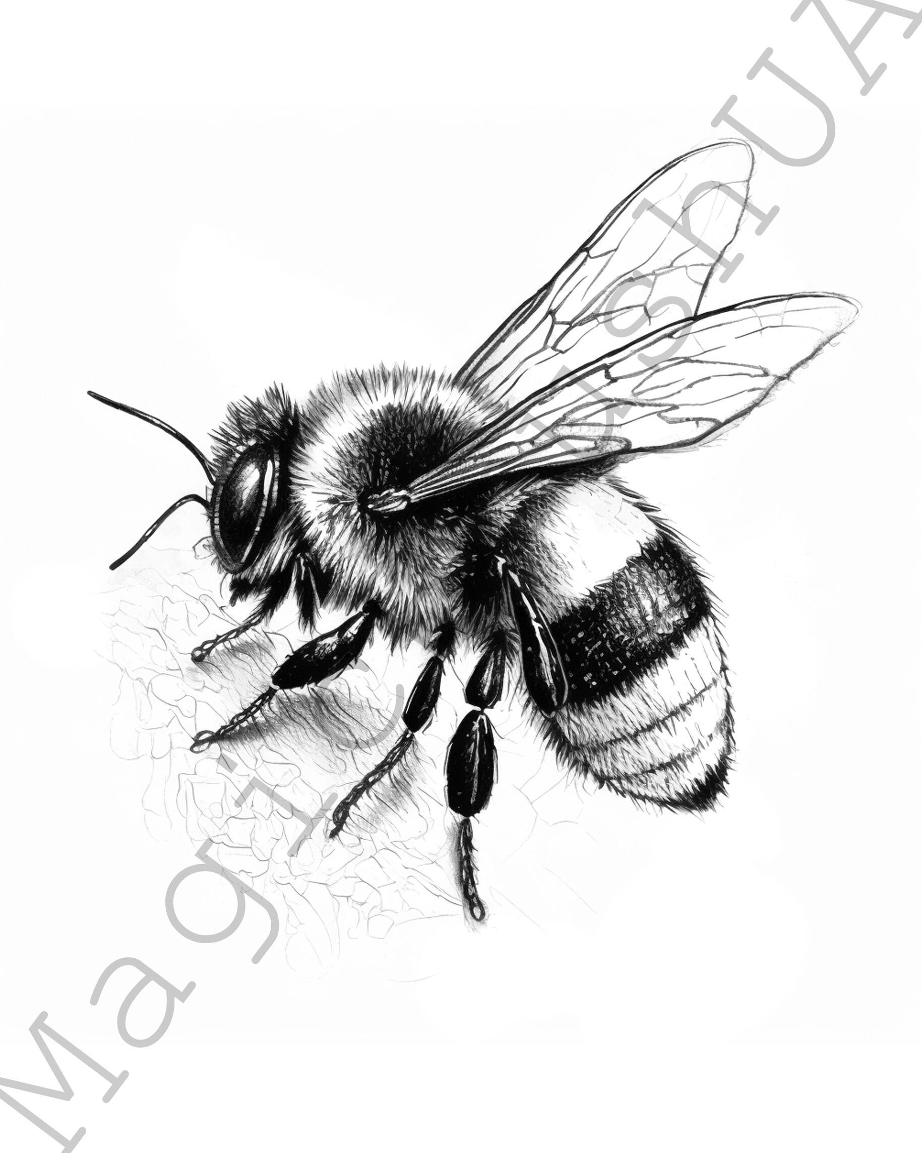 Bee Coloring Page 8 Portraits Set Bee Clipart Commercial Bee Coloring Page Bundle Digital Download SVG Stickers Watercolor Portrait Etsy