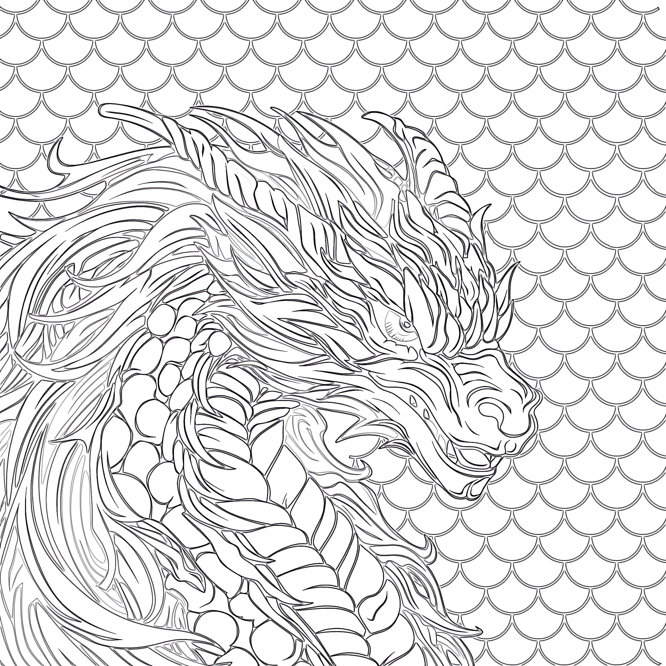 printable coloring pages dragons