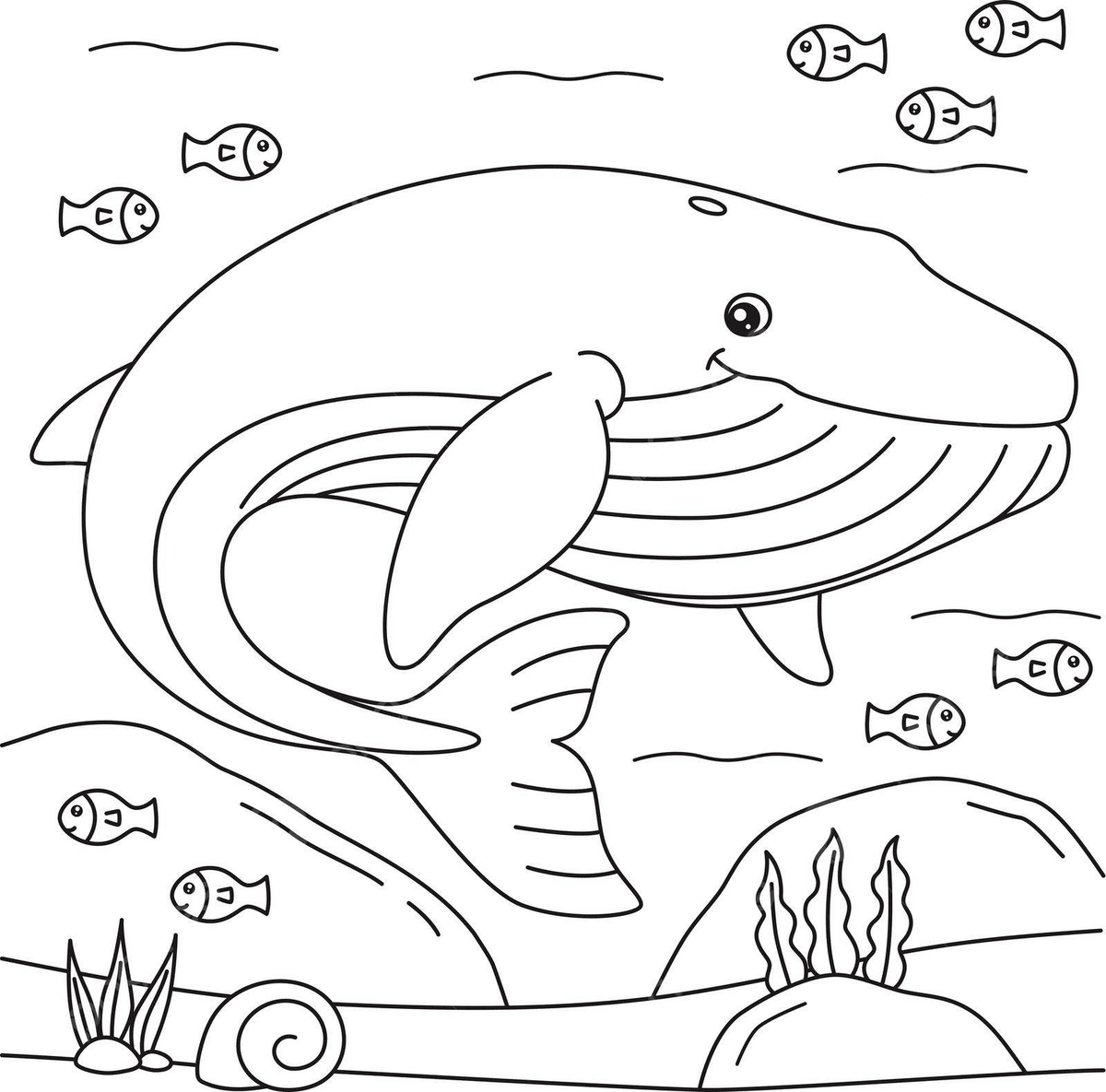 Blue Whale Coloring Page For Kids Line Baby Aquatic Vector Baby Drawing Whale Drawing Ring Drawing Illustration Background And Wallpaper For Free Download Pngtree