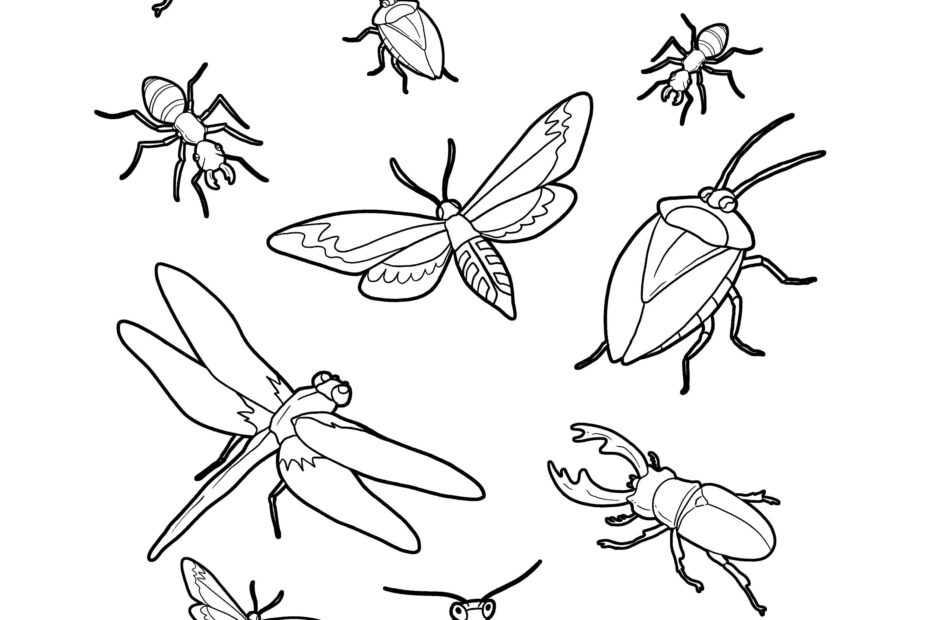 Bug Coloring Page Bugs And Insects Printable Digital Download Cute Bugs Art Activity