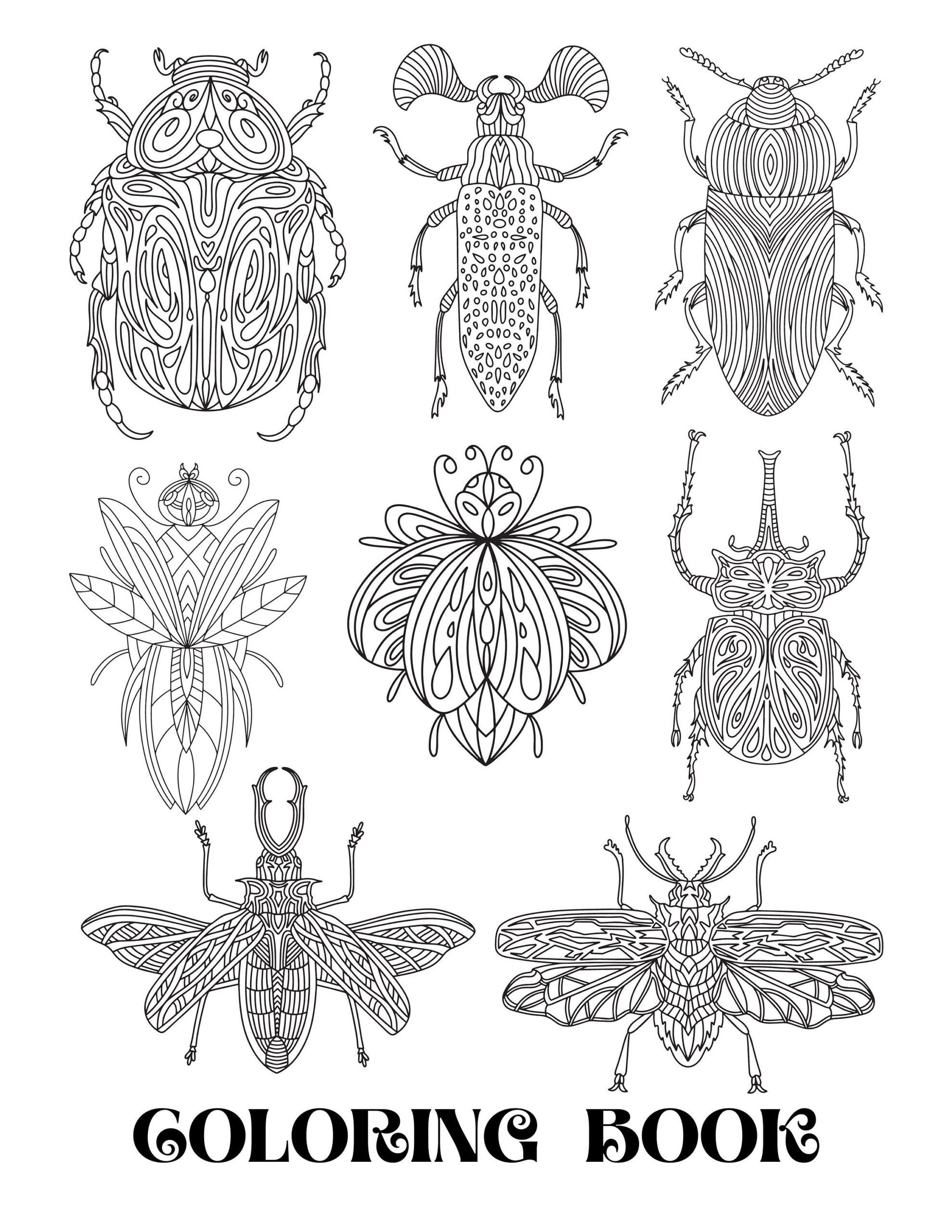 bug pictures to color