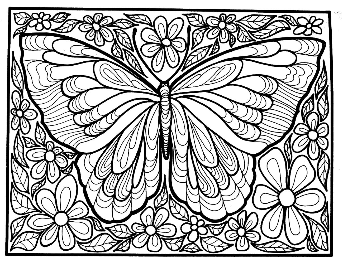 free printable pictures of butterflies to color