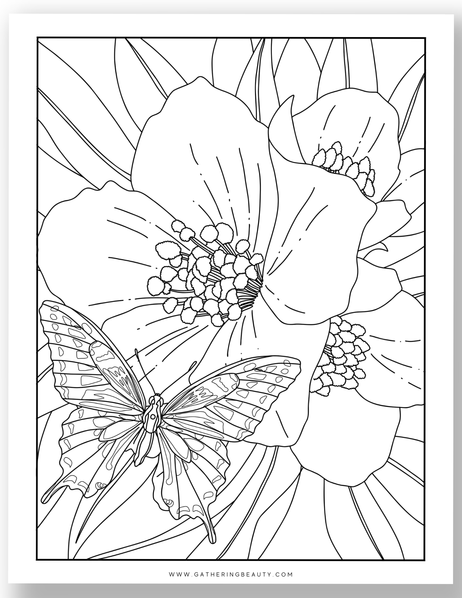 coloring pictures of flowers and butterflies