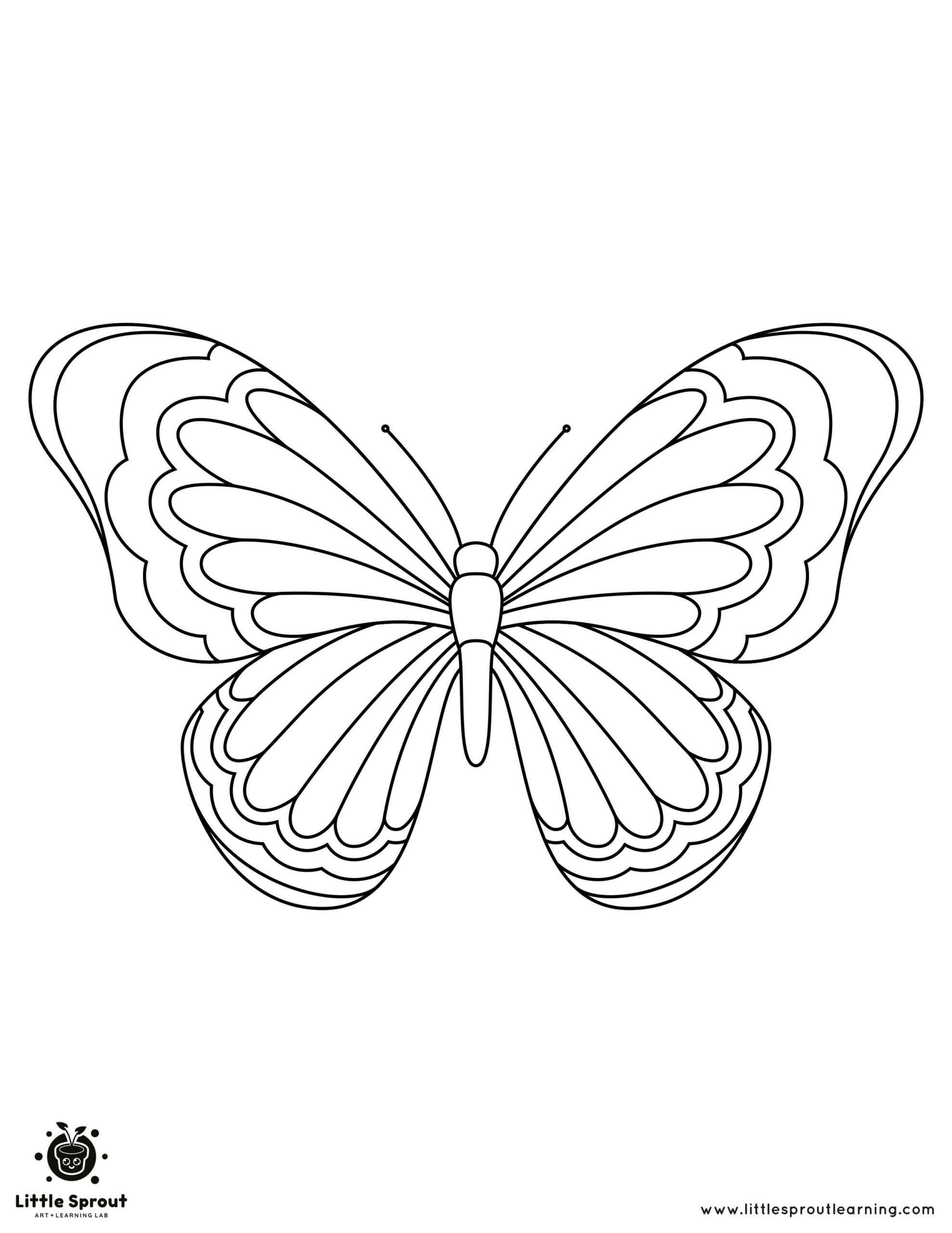 coloring printable butterfly