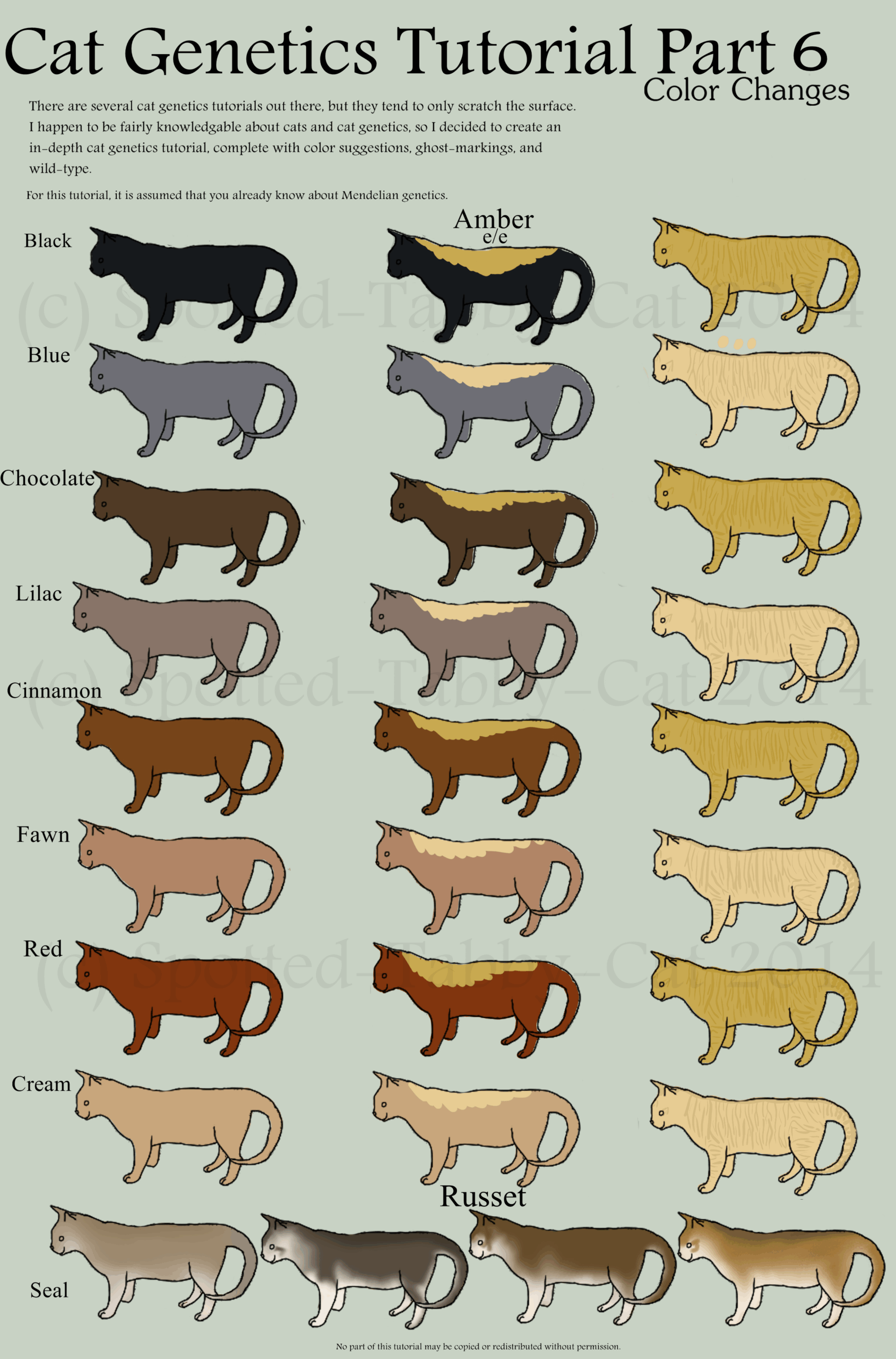 cat color genetics chart