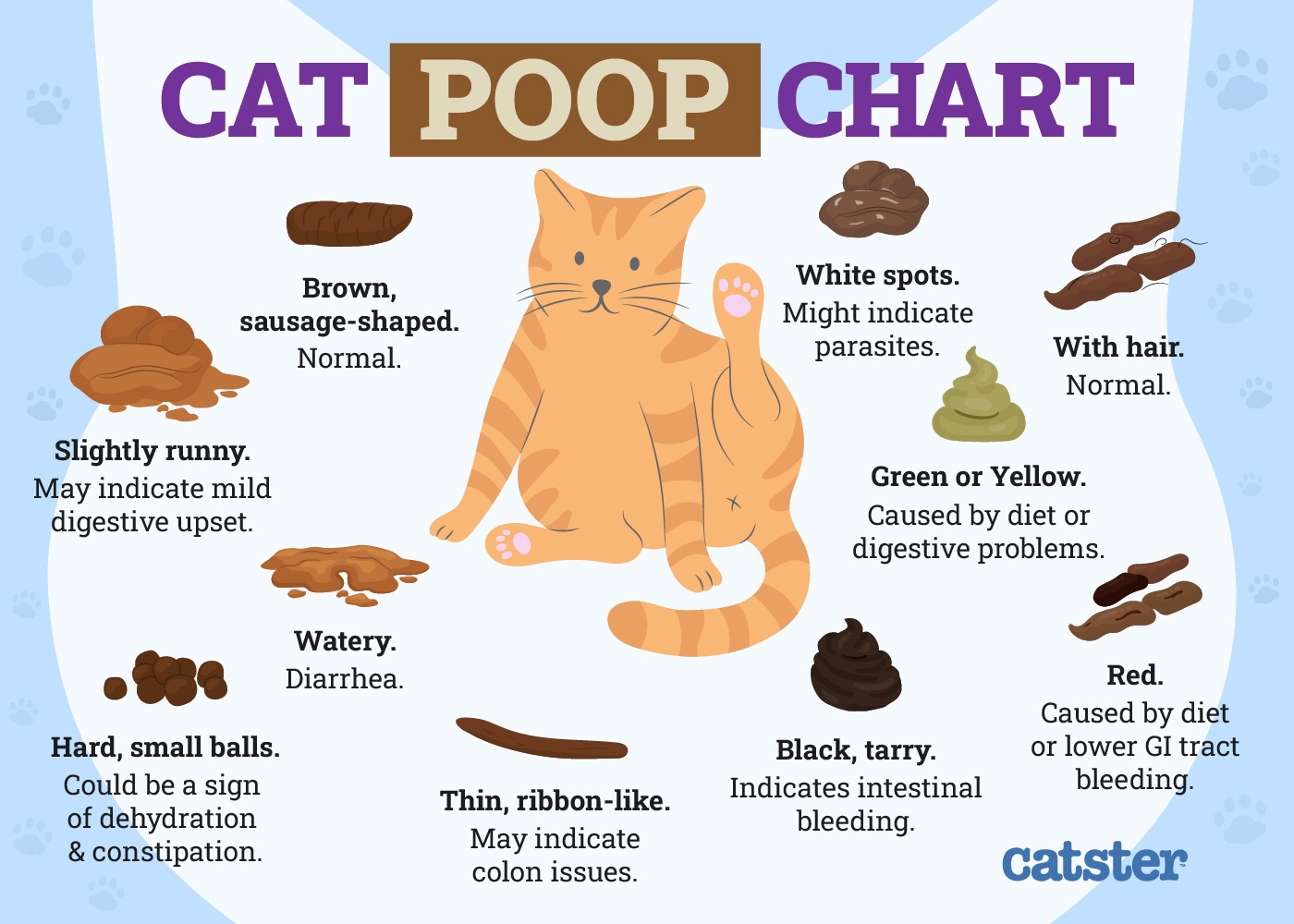 Cat Poop Chart Colors Consistency U0026 More Vet Reviewed Catster