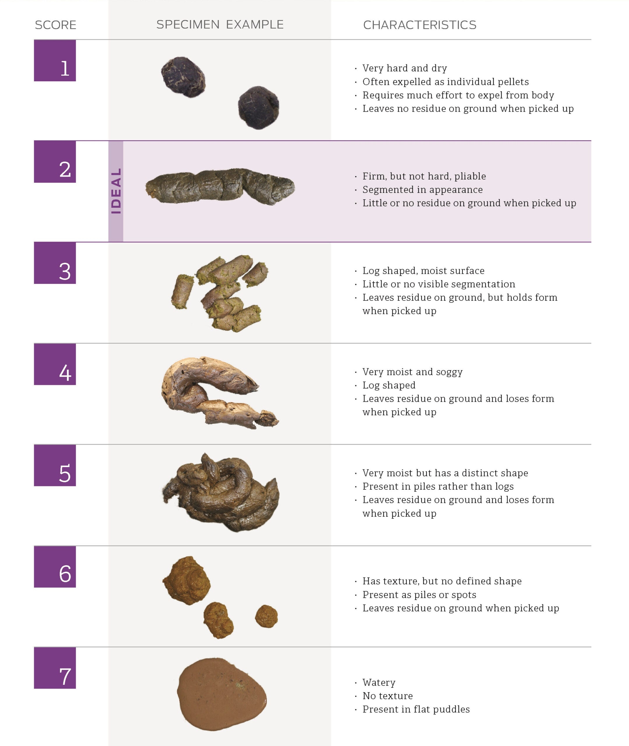 cat poop color chart