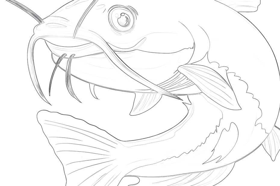 Catfish Cartoon Coloring Page Coloring Pages Mimi Panda