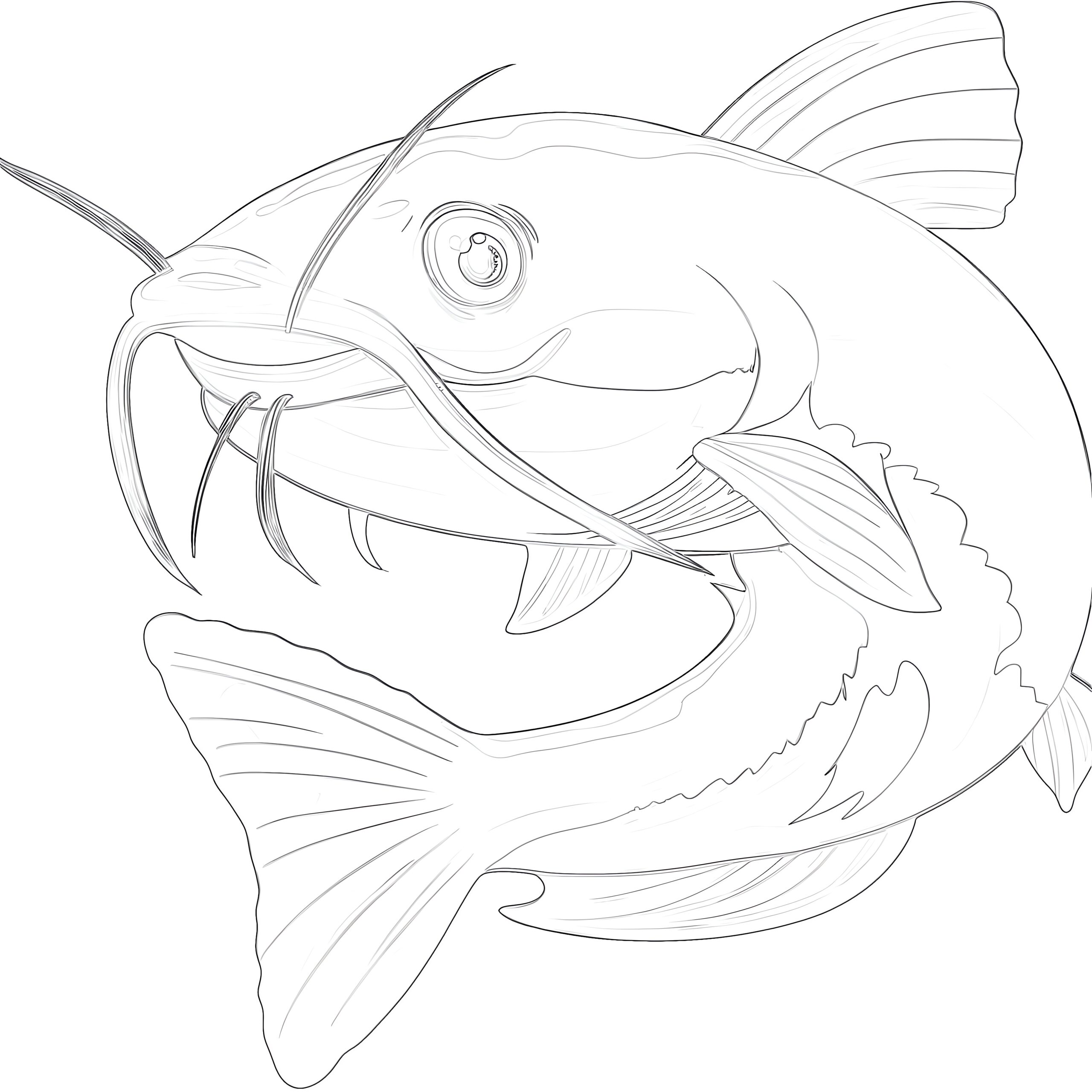 Catfish Cartoon Coloring Page Coloring Pages Mimi Panda
