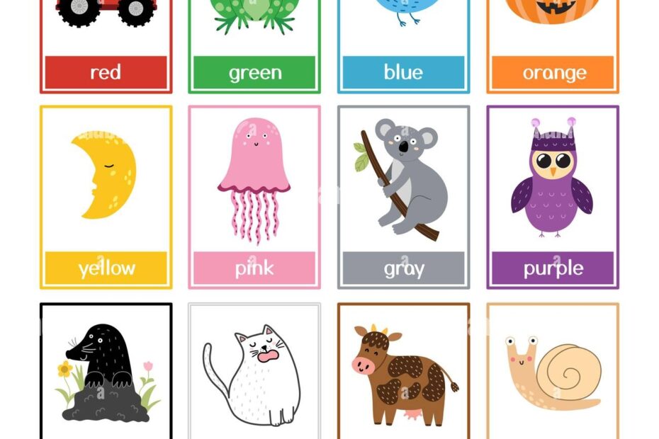 Color Flashcards Set With Cute Animals Color Names And Pictures Collection For Preschool Stock Vector Image U0026 Art Alamy