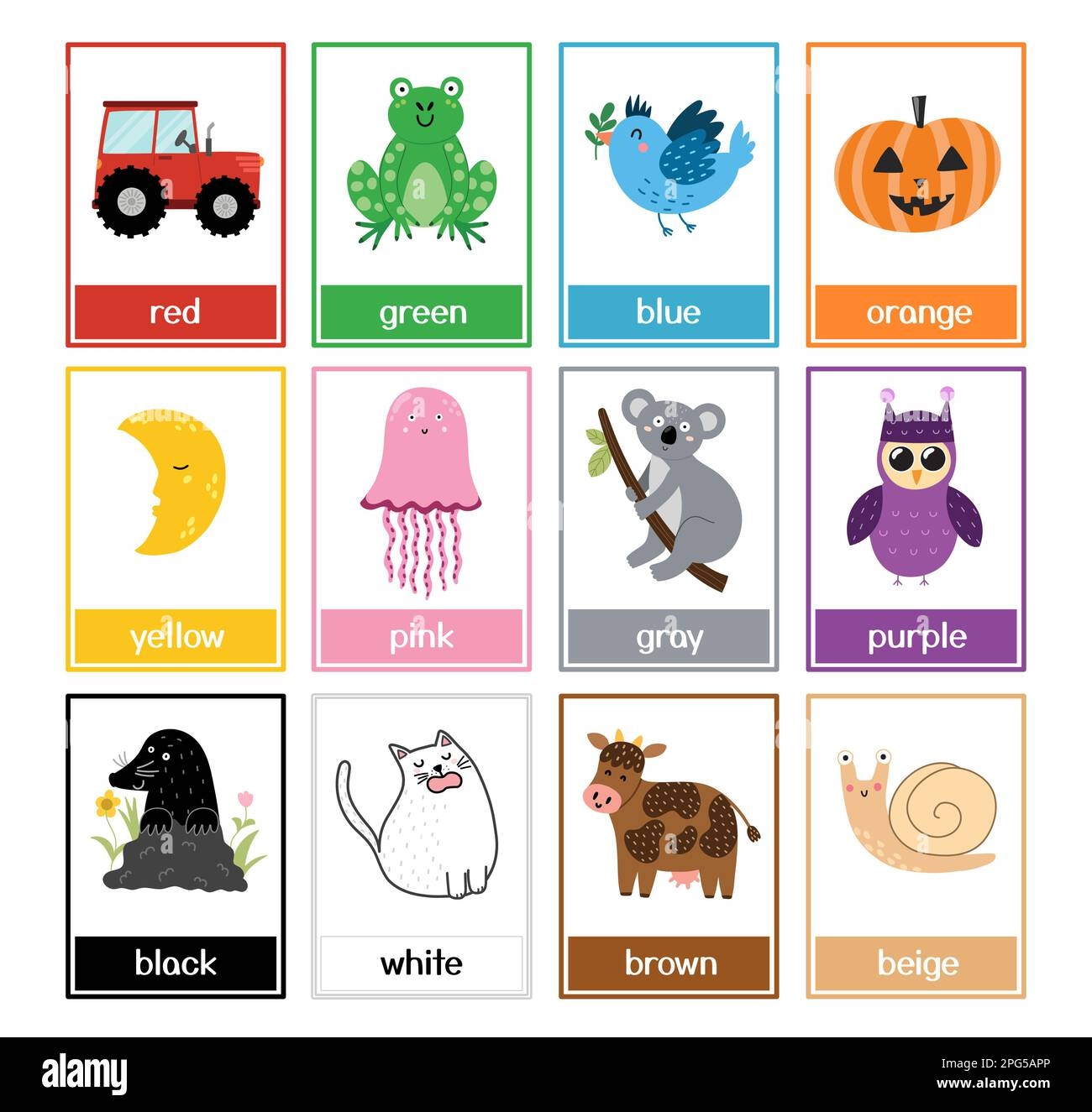 Color Flashcards Set With Cute Animals Color Names And Pictures Collection For Preschool Stock Vector Image U0026 Art Alamy