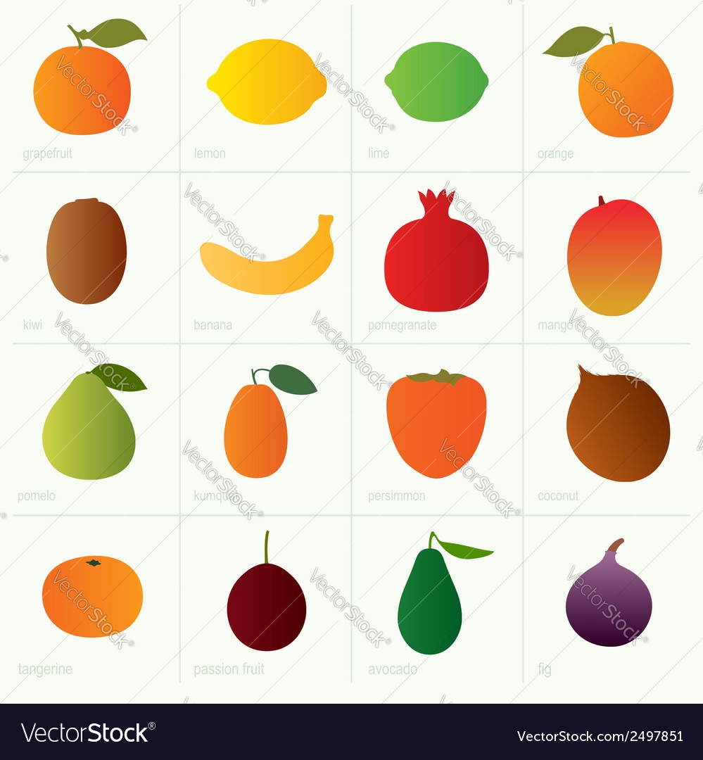 Color Fruits Royalty Free Vector Image VectorStock