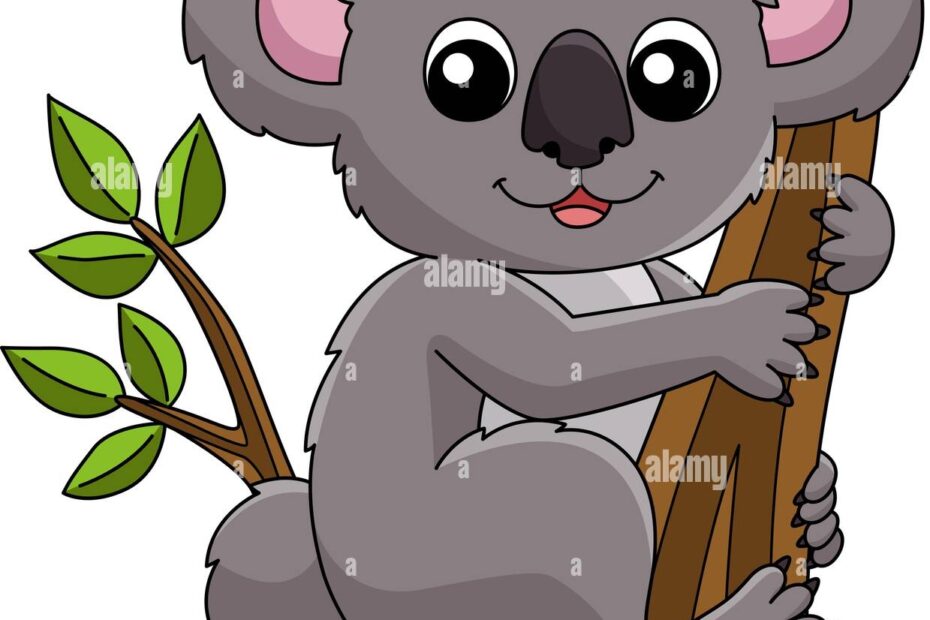 Color Koala Hi res Stock Photography And Images Alamy