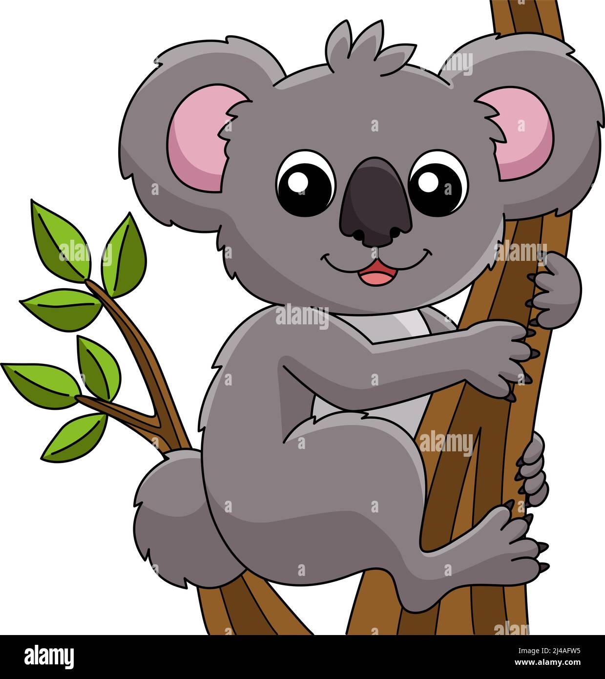 Color Koala Hi res Stock Photography And Images Alamy