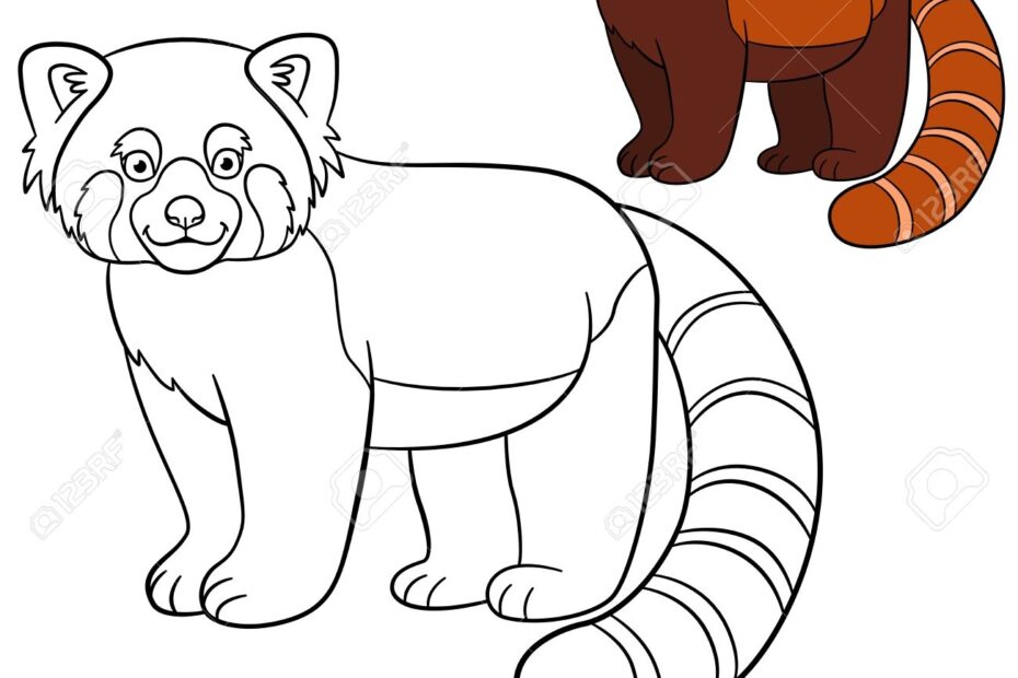 Coloring Page Red Panda Little Cute Red Panda Stands And Smiles Royalty Free SVG Cliparts Vectors And Stock Illustration Image 62906949
