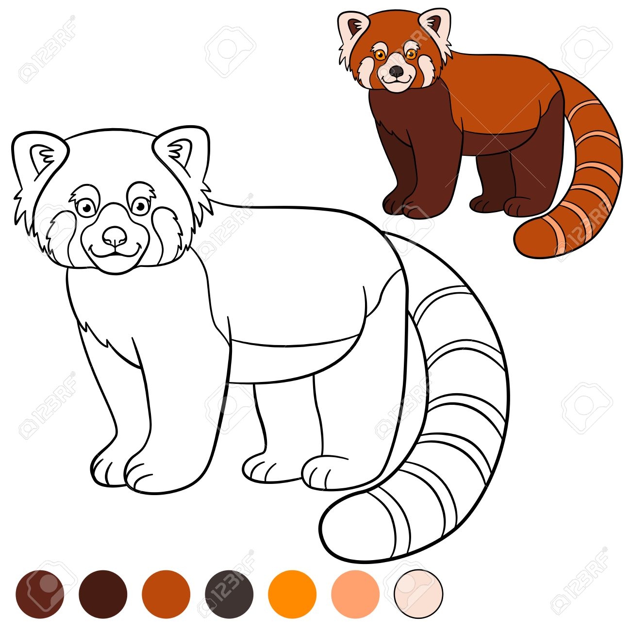 Coloring Page Red Panda Little Cute Red Panda Stands And Smiles Royalty Free SVG Cliparts Vectors And Stock Illustration Image 62906949 