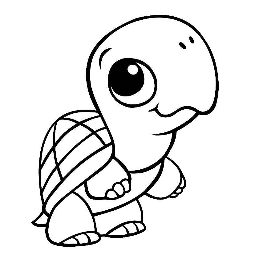 printable turtle coloring pages